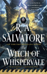 The Witch of Whispervale: The Buccaneers, Book 2