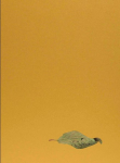 Yoshihiro Suda. Garden Eden: Ausst. Kat. Staatliche Graphische Sammlung M&uuml;nchen