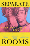 Separate Rooms: The forgotten Italian queer classic, perfect for fans of Call Me By Your Name