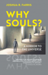 Why Souls?: A Mirror to the Universe