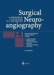 Surgical Neuroangiography: Vol.2: Clinical and Endovascular Treatment Aspects in Adults