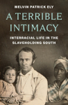 Terrible Intimacy: Interracial Life in the Slaveholding South