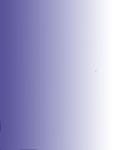 Agile Practice Guide - Second Edition (English)