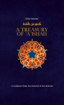 A Treasury of Aisha: A Guidance from the Beloved of the Beloved