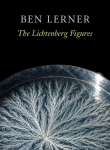 The Lichtenberg Figures