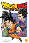 Dragon Ball Super, Vol. 12: Meru's True Identity