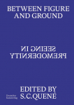 Between Figure and Ground: Seeing in Premodernity