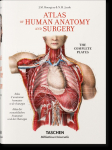 Bourgery: Atlas of Human Anatomy and Surgery