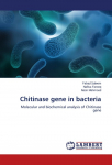 Chitinase gene in bacteria: Molecular and biochemical analysis of Chitinase gene