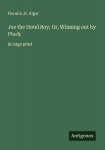 Joe the Hotel Boy; Or, Winning out by Pluck: in large print