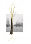 Giuseppe Penone. Thoughts in the Roots: Serpentine Gallery, London