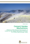 Cement Uptake Mechanisms: Influence of the Inherent Heterogeneity of Cement on the Uptake Mechanisms of Ni and Co: A Micro-Spectroscopic Study
