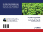 Triple Management to Support Technology Flexibility Challenges: A Business Oriented Approach