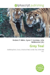 Grey Teal: Dabbling Duck, Duck, Chestnut Teal, Sunda Teal, IUCN Red List.