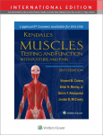 Kendalls Muscles: Testing and Function with Posture and Pain