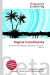 Dypsis Canaliculata: Arecaceae, Chloranthaceae, Monopodial, Evergreen, Raceme