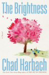 The Brightness: A Novel