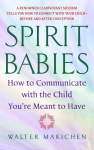 Spirit Babies: How to Communicate with the Child Youre Meant to Have