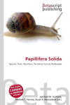 Papillifera Solida