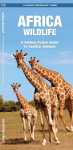 African Wildlife: A Folding Pocket Guide to Familiar Species