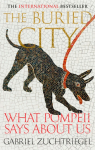 The Buried City: The Revelatory New History from the Director of Pompeii