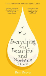 Everything was Beautiful and Nothing Hurt