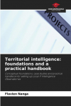 Territorial intelligence: foundations and a practical handbook: Conceptual foundations, case studies and practical handbook for setting up Local IT Intelligence Observatories