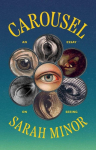 Carousel: An Essay on Seeing