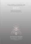The Intelligence of Bees: Lessons for Human Behavior, Innovation and Strategic Investment for Family Offices