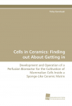 Cells in Ceramics: Finding out About Getting in: Development and Operation of a Perfusion Bioreactor for the Cultivation of Mammalian Cells Inside a Sponge-Like Ceramic Matrix