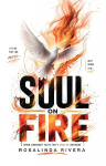 Soul on Fire: When Ordinary Faith Isnt Enough Anymore