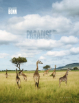 PARADISE INC.
