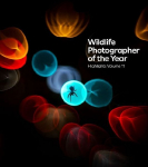 Wildlife Photographer of the Year: Highlights Volume 11: Volume 11