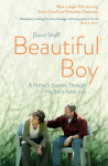 Beautiful Boy: A Fathers Journey Through His Sons Addiction