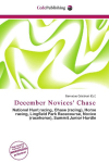 December Novices Chase: National Hunt racing, Chase (racing), Horse racing, Lingfield Park    Racecourse, Novice (racehorse), Summit Junior Hurdle
