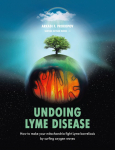 Undoing Lyme Disease: How to Make Your Mitochondria Fight Lyme Borreliosis by Surfing Oxygen Waves