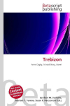 Trebizon: Anne Digby, School Story, Novel
