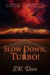 Slow Down, Turbo!: A Paramedics Journey from Breakdown to Breakthrough