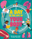 A Day in the Life of Your Body: Find Out Whats Going on Under Your Skin