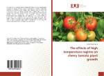The effects of high temperature regime on cherry tomato plant growth