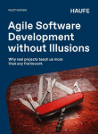 Agile Software Development without Illusions: Why real projects teach us more than any framework