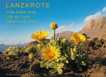 Lanzarote - Leben auf Lava: Vida sobre lava - Life on Lava