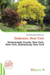 Delanson, New York: Schenectady County, New York, New York, Duanesburg, New York