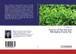 Science of Tea Soil and Managing Young Tea