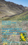Photographic Guide to Vascular Plants of Mongolia and Adjacent Areas, Vol. 2: Dicotyledones (Ceratophyllaceae to Primulaceae)