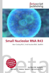 Small Nucleolar RNA R43: Non-Coding RNA, Small Nuclear RNA, SnoRNA