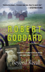 Beyond Recall: A Novel