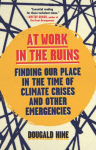 At Work in the Ruins: Finding Our Place in the Time of Science, Climate Change, Pandemics and All the Other Emergencies