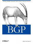 BGP: Building Reliable Networks with Border Gateway Protocol