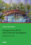 Acupuncture Point and Channel Energetics: Bridging the Gap